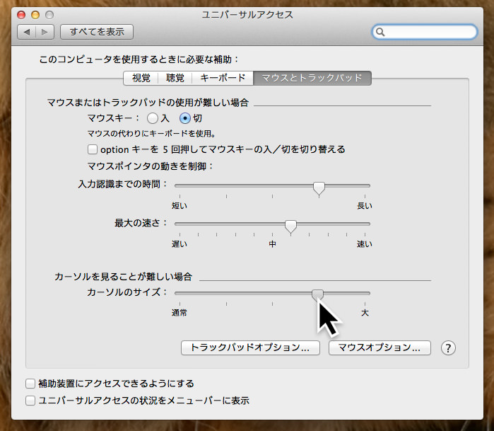 人前でデモしたりするときにやっておくといいこと Mac Os編 Dtp Transit